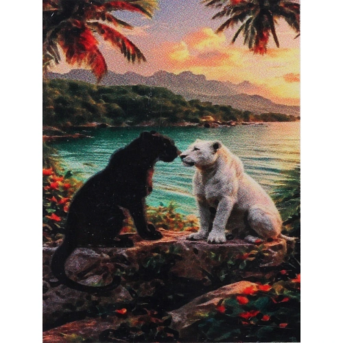 Алмазная мозаика в рулоне 3040см полная выкладка DIAMOND, Парочка_4