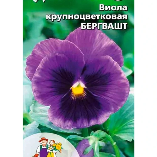 Семена Виола Бергвашт крупноцветковая 0.03 гр (УД) Е/П