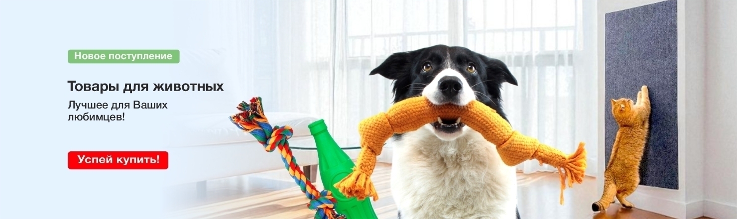 товары для животных новинки
