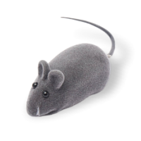 Шарики, мячики и мышки