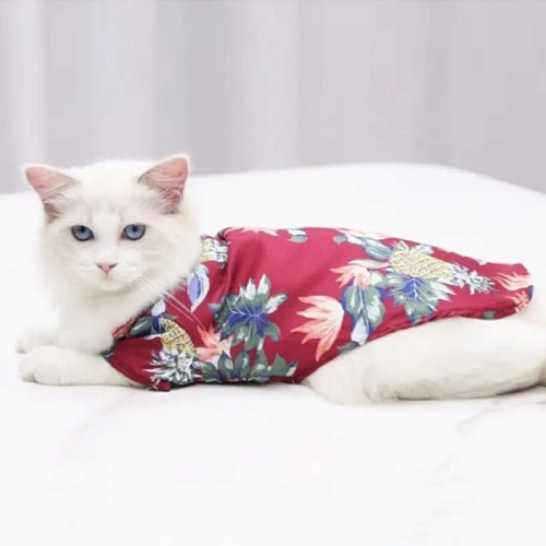 Рубашка для собак и кошек малых и средних пород СТИЛЬНЫЙ БРО, цвет красный, принт ананасы с цветами, размер S_8