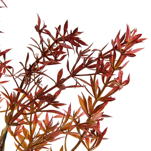 Искусственные цветы Волшебство трав 38см Аспарагус красный_4