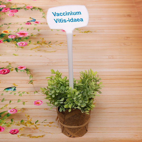 Указатель для растений 268,55см Памятка из пластика_9