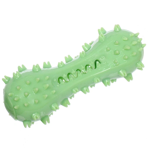 Игрушка - зубочистка для малых и средних пород собак "Кость", цвет зеленый, с пищалкой, 14,5*4,5см