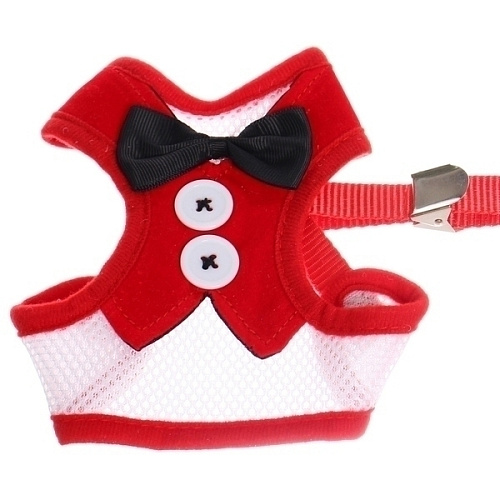 Шлейка с поводком для мелких пород собак и кошек LAPUSIK, цвет красный, размер L_5