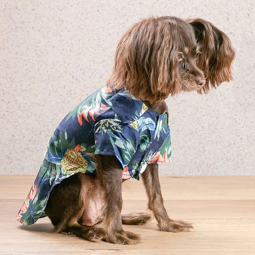 Рубашка для собак и кошек малых и средних пород СТИЛЬНЫЙ БРО, цвет синий, принт ананасы с цветами, размер M_12