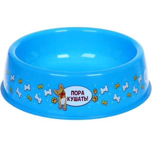 Миска пластиковая "МОЙ БРО - Пора кушать!, цвет небесно-синий,  21*6,5см (логотип на миске) 700 мл