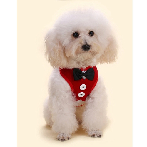 Шлейка с поводком для мелких пород собак и кошек LAPUSIK, цвет красный, размер L_12