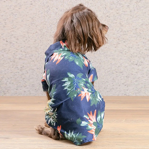 Рубашка для собак и кошек малых и средних пород СТИЛЬНЫЙ БРО, цвет синий, принт ананасы с цветами, размер S_14