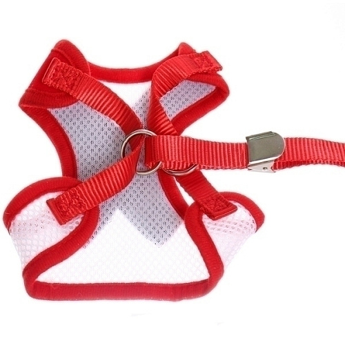 Шлейка с поводком для мелких пород собак и кошек LAPUSIK, цвет красный, размер L_7